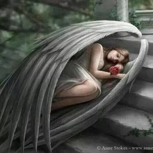 Meet your Posher, Glenda